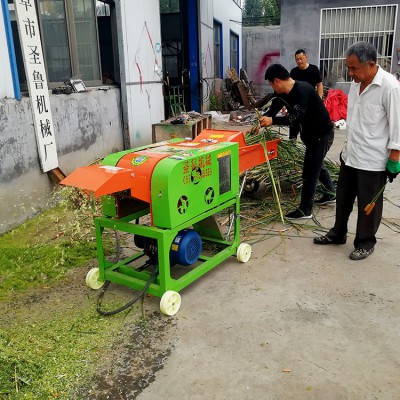 鍘草粉碎機 玉米秸稈揉絲機 小型家用鍘草揉絲機