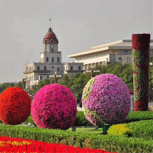 廣場(chǎng)擺放花球 景觀圓形花球 公園綠地花球