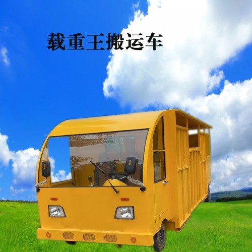 多功能電動平板車  養(yǎng)殖戶拉豬車  蔬菜大棚搬運(yùn)車