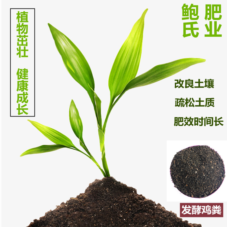 發(fā)酵雞糞植物生長