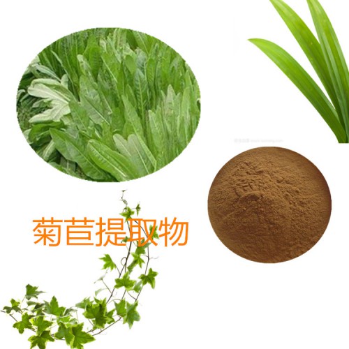 菊苣提取物 水提  10:1   菊苣粉 菊苣浸膏