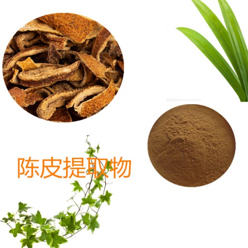 橘皮提取物 水提 10:1 橘皮浸膏 橘皮速溶粉