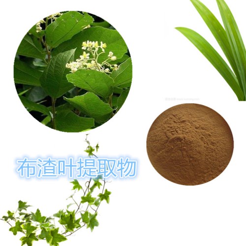 布渣葉提取物 水提  10:1   布渣葉粉 布渣葉浸膏