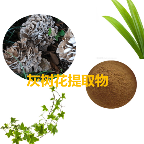 灰樹花提取物 水提 10:1 灰樹花粉  灰樹花浸膏