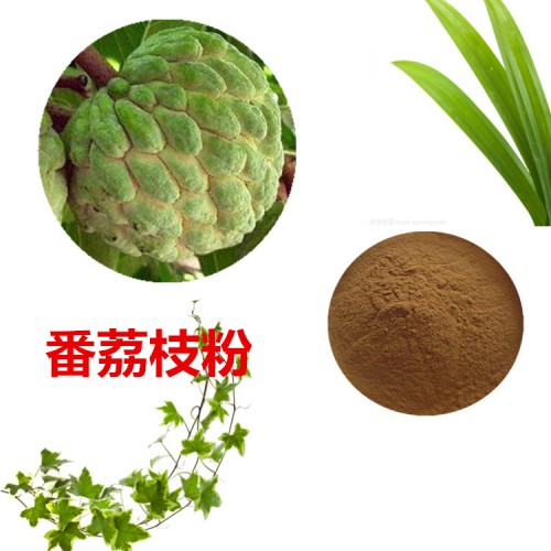 番荔枝提取物10:1  番荔枝粉 水溶  番荔枝浸膏