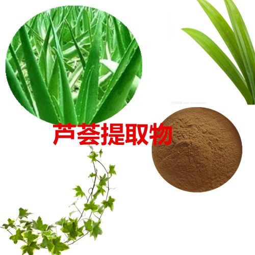 蘆薈提取物 水提 10:1  蘆薈浸膏 庫(kù)拉索蘆薈速溶粉