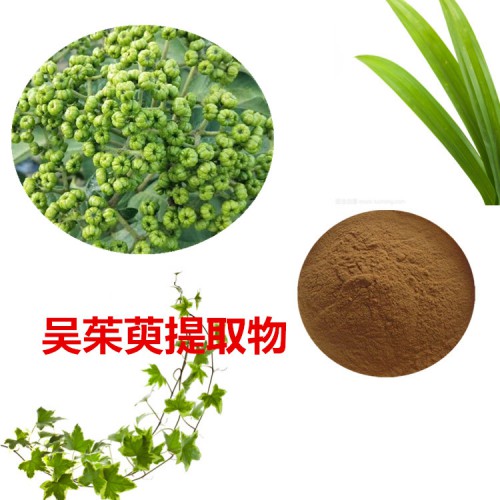 10:1  吳茱萸提取物  水提 吳茱萸粉 吳茱萸浸膏