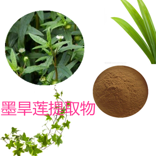 10:1 墨旱蓮提取物  水提  墨旱蓮粉  墨旱蓮浸膏