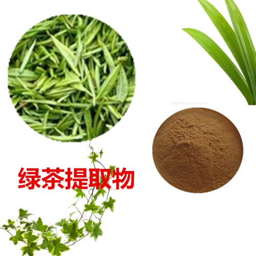 10:1 綠茶提取物  水提  綠茶粉  綠茶浸膏