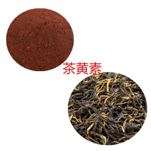 茶黃素10% 紅茶提取液 10:1  多規(guī)格