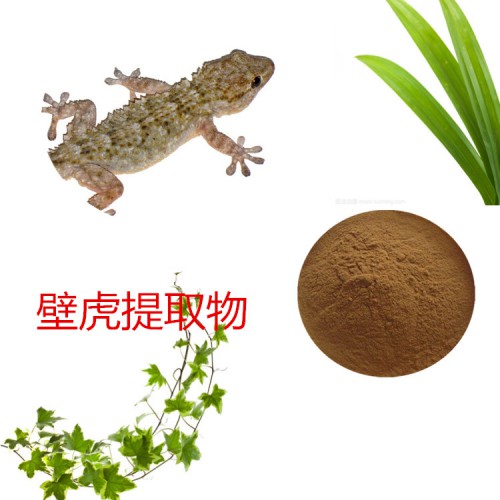 壁虎提取物 水提  壁虎速溶粉 壁虎浸膏 壁虎粉