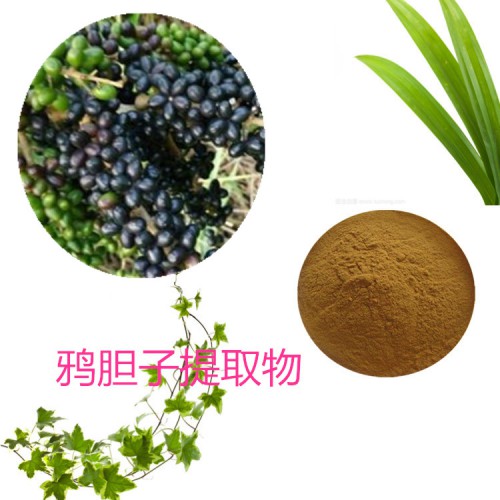 鴉膽子提取物 水提 鴉膽子速溶粉  鴉膽子浸膏 鴉膽子粉