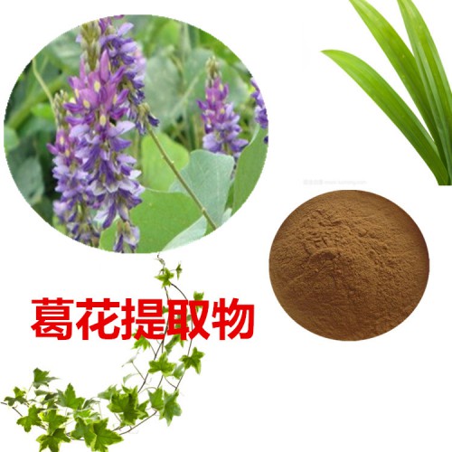 葛花提取物 水提 葛花速溶粉 葛花浸膏 葛花粉