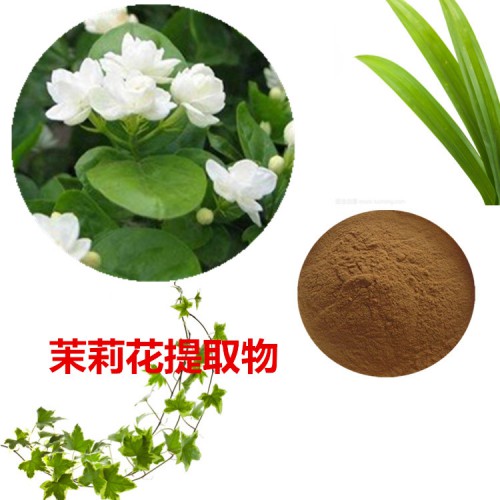 茉莉花提取物 水提 茉莉花速溶粉 茉莉花浸膏 茉莉花粉