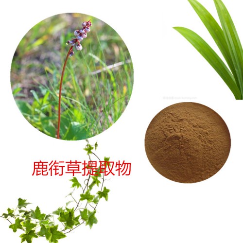 鹿銜草提取物 水提 鹿銜草速溶粉 鹿銜草浸膏 鹿銜草粉