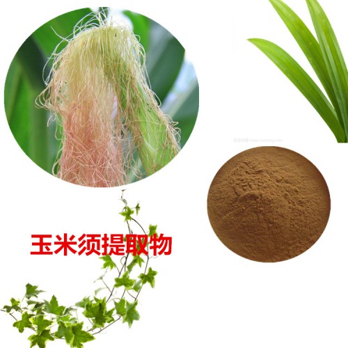 玉米須提取物 水提 玉米須速溶粉 玉米須浸膏 玉米須粉