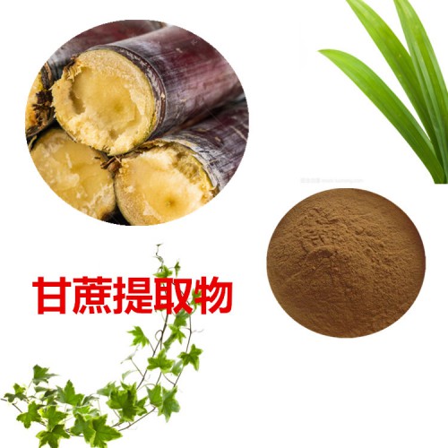 甘蔗提取物  甘蔗粉  甘蔗速溶粉 甘蔗浸膏粉