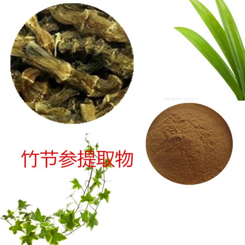 竹節(jié)參提取物 竹節(jié)參粉  竹節(jié)參速溶粉 竹節(jié)參浸膏粉