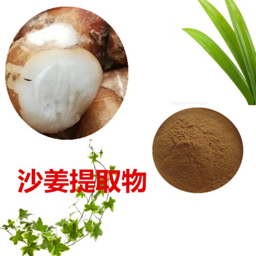 沙姜提取物  沙姜粉 沙姜速溶粉 沙姜浸膏粉