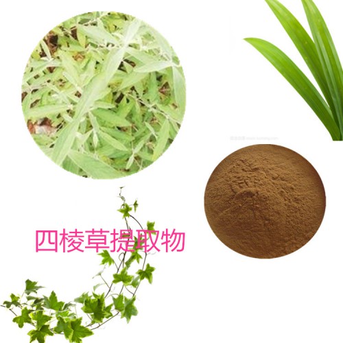 四棱草提取物 四棱草粉 四棱草速溶粉 四棱草浸膏粉