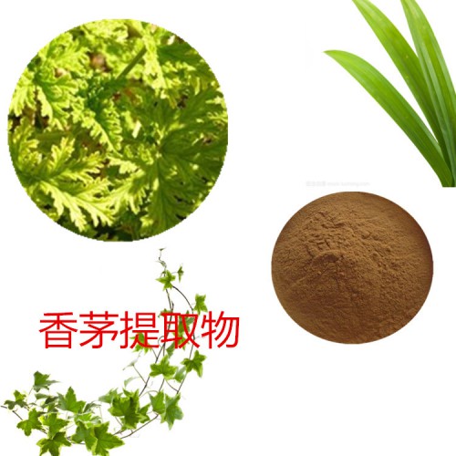 香茅提取物 香茅粉 香茅速溶粉 香茅浸膏粉