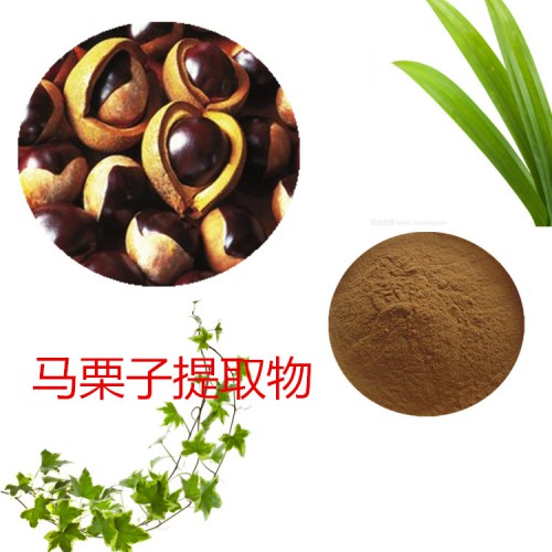 馬栗子提取物 馬栗子粉 馬栗子速溶粉 馬栗子浸膏粉