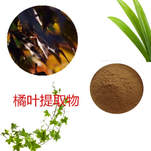 橘葉提取物 橘葉粉 橘葉速溶粉 橘葉浸膏粉