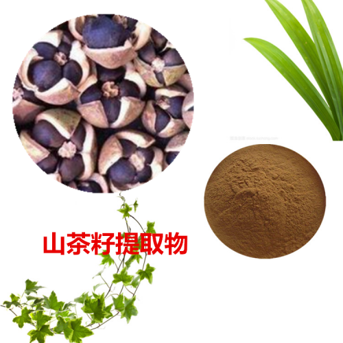 山茶籽提取物 山茶籽粉 山茶籽速溶粉 山茶籽浸膏粉