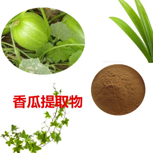 香瓜提取物 香瓜粉 香瓜速溶粉 香瓜浸膏粉