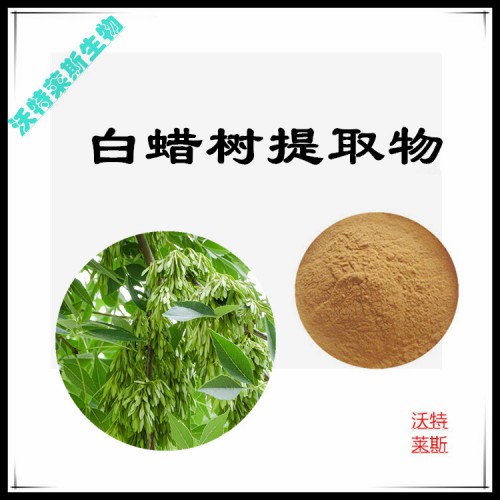 白蠟樹粉  白蠟樹提取物  白蠟樹提取液 白蠟樹浸膏