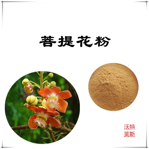 菩提花粉 菩提花提取物  菩提花提取液  菩提花浸膏