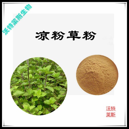 涼粉草粉 涼粉草提取物 涼粉草浸膏 涼粉草提取液