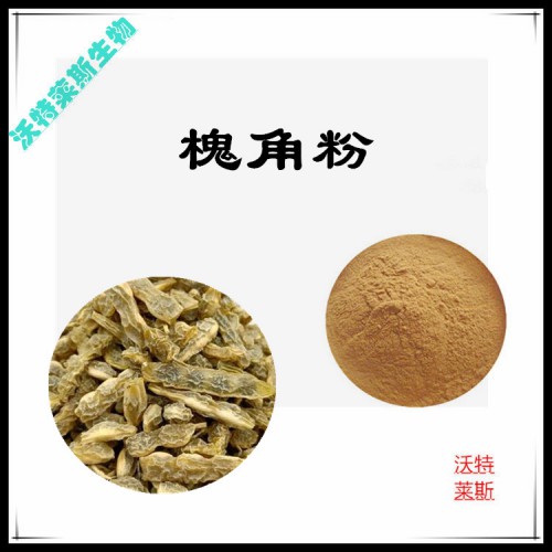 槐角粉 槐角提取物 槐角浸膏 槐角提取液