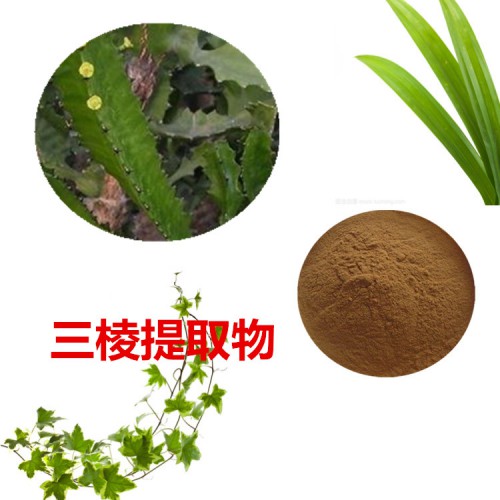 三棱粉 三棱提取物  水提 三棱浸膏 三棱提取液