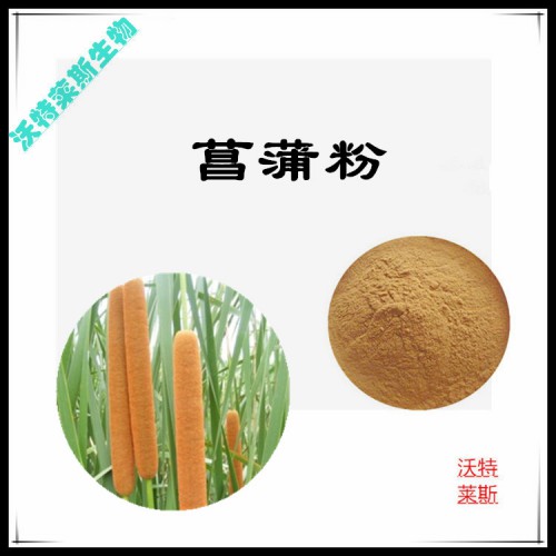 菖蒲粉 菖蒲提取物 菖蒲浸膏 菖蒲提取液