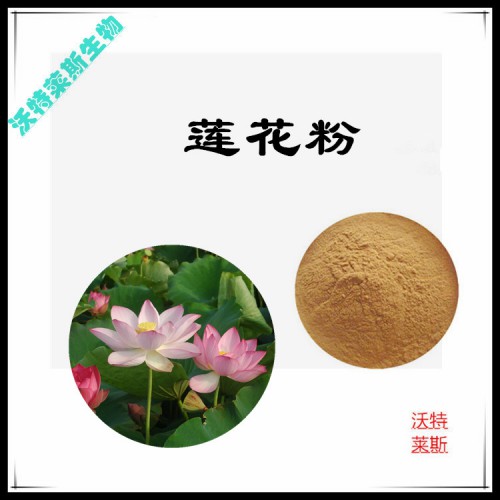 蓮花粉 蓮花提取物 蓮花浸膏 蓮花提取液