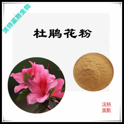 杜鵑花粉  杜鵑花提取物  杜鵑花浸膏  杜鵑花提取液