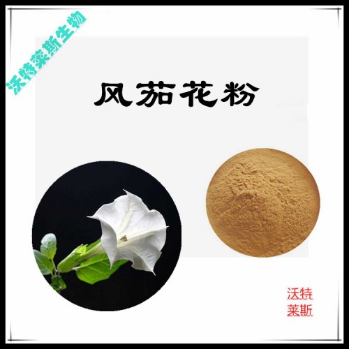 風(fēng)茄花粉  風(fēng)茄花提取物  風(fēng)茄花浸膏 風(fēng)茄花提取液