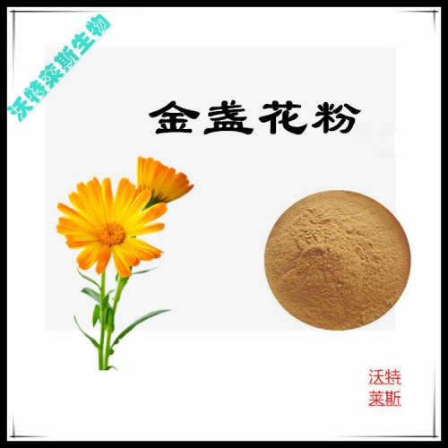 金盞花粉  金盞花提取物  金盞花浸膏 金盞花提取液