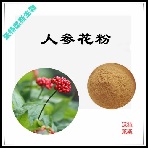 人參花粉  人參花提取物  人參花浸膏 人參花提取液