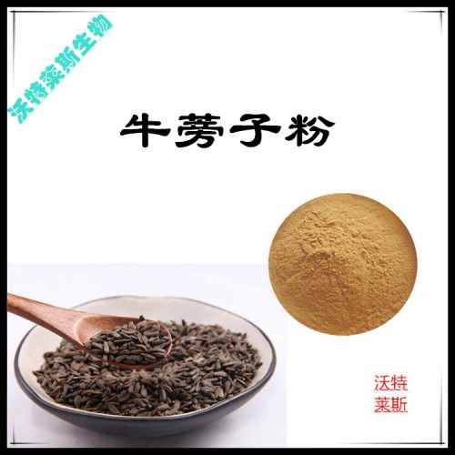 牛蒡子粉 牛蒡子提取物  牛蒡子浸膏 牛蒡子提取液