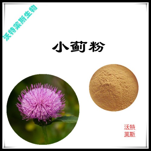 小薊粉 小薊提取物 小薊浸膏 小薊提取液