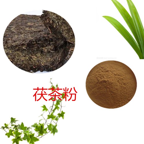 茯茶粉 茯茶提取物 茯茶浸膏 茯茶提取液