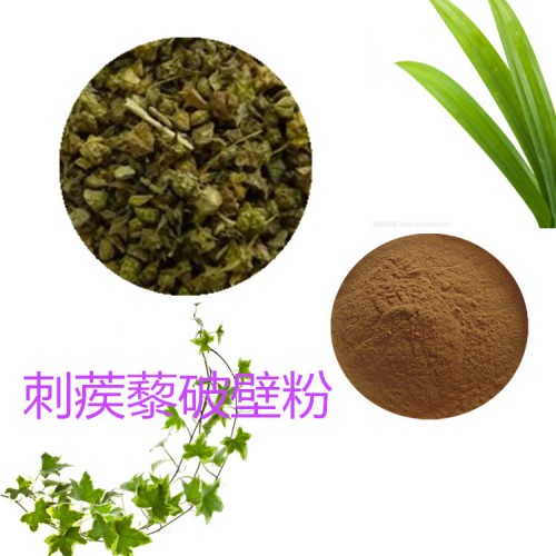 刺蒺藜粉 刺蒺藜破壁粉 刺蒺藜浸膏 刺蒺藜提取液