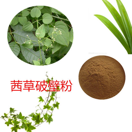 茜草粉 茜草破壁粉 茜草浸膏 茜草提取液