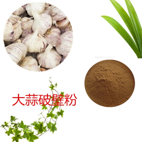 大蒜粉 大蒜破壁粉 大蒜浸膏  大蒜提取液