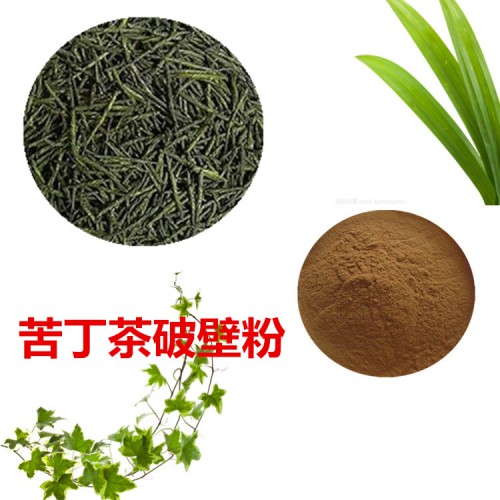 苦丁茶粉 苦丁茶破壁粉 苦丁茶浸膏  苦丁茶提取液