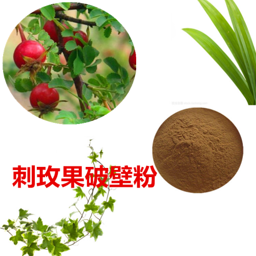 刺玫果粉 刺玫果破壁粉 刺玫果浸膏  刺玫果提取液