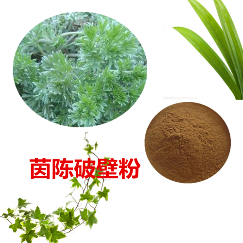 茵陳粉 茵陳破壁粉 茵陳浸膏  茵陳提取液