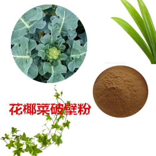 花椰菜粉 花椰菜破壁粉 花椰菜浸膏  花椰菜提取